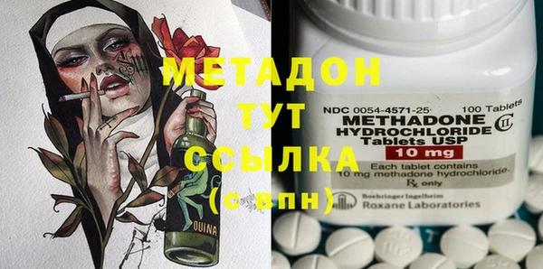 прущие грибы Михайлов