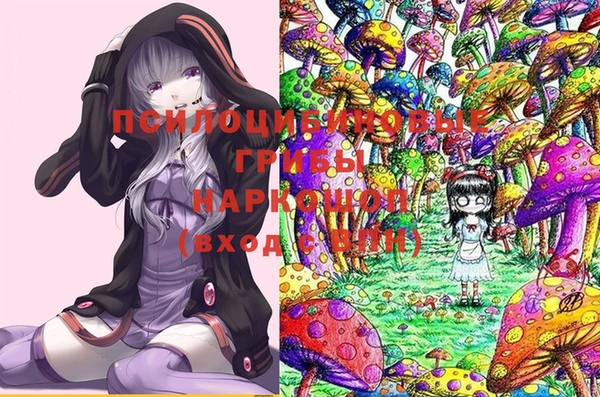 прущий лед Бежецк