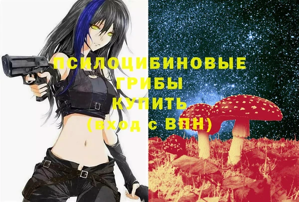 a pvp Медногорск
