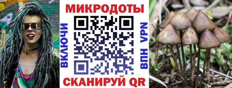 Галлюциногенные грибы Magic Shrooms  OMG маркетплейс  Белоусово 